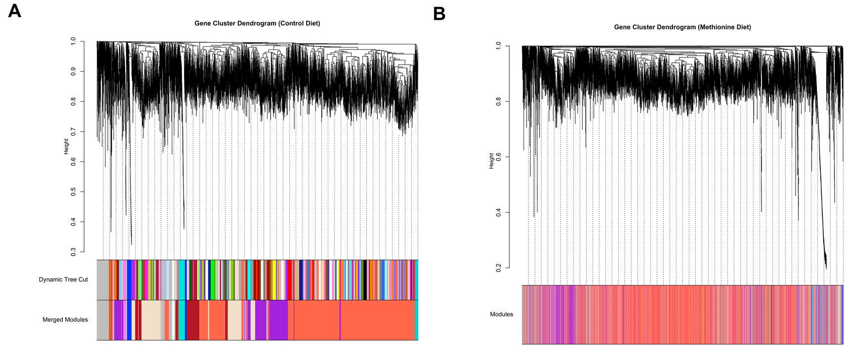 Differential network analysis of bovine muscle reveals changes in gene coexpression patterns in response to changes in maternal nutrition