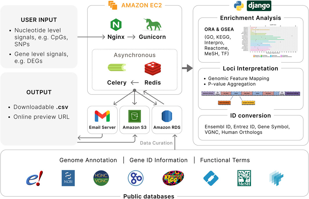 EnrichKit: a multi-omics tool for livestock research