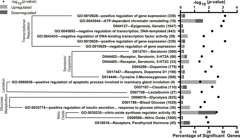 Impact of fluoxetine treatment and folic acid supplementation on the mammary gland transcriptome during peak lactation