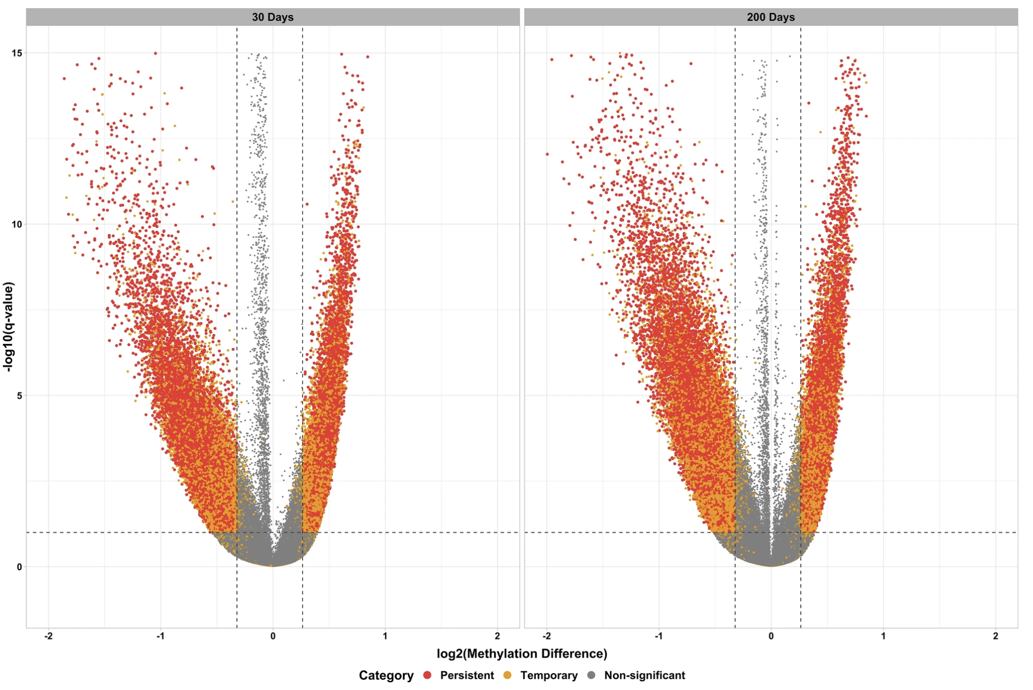 Maternal diet induces persistent DNA methylation changes in the muscle of beef calves