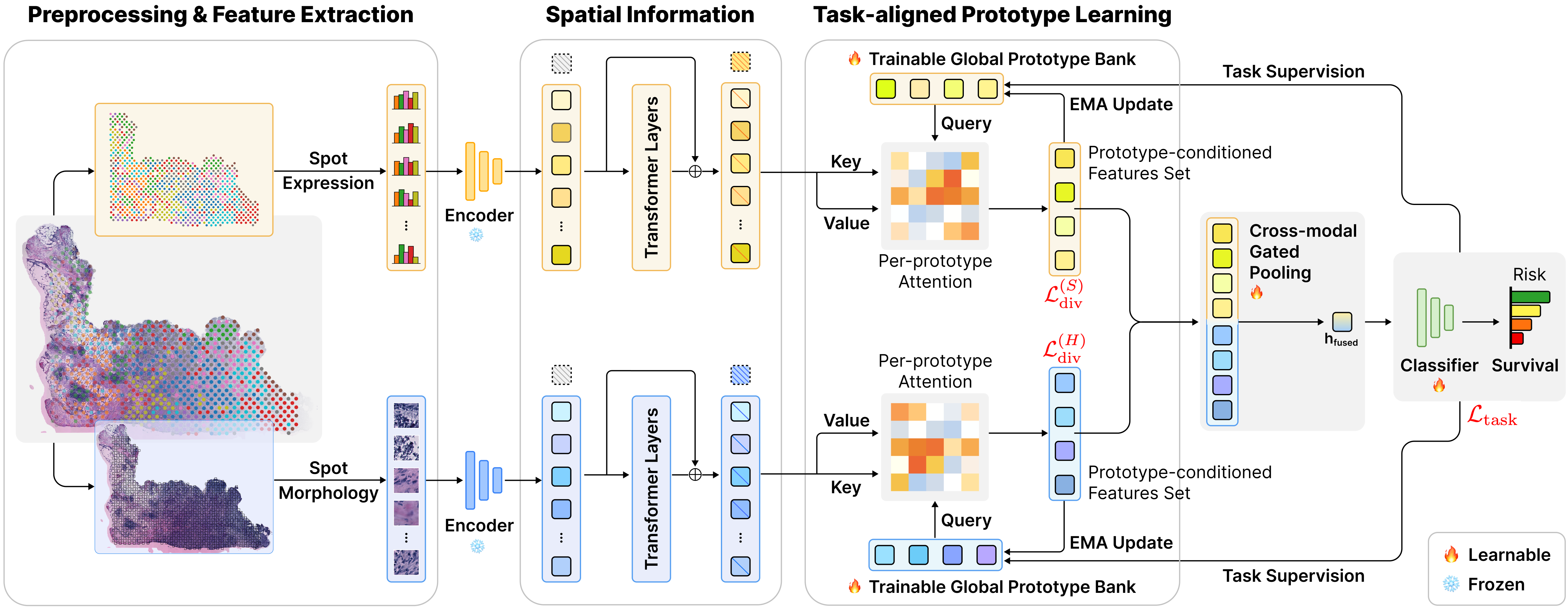 prototype-driven fusion of pathology and spatial transcriptomics for interpretable survival prediction