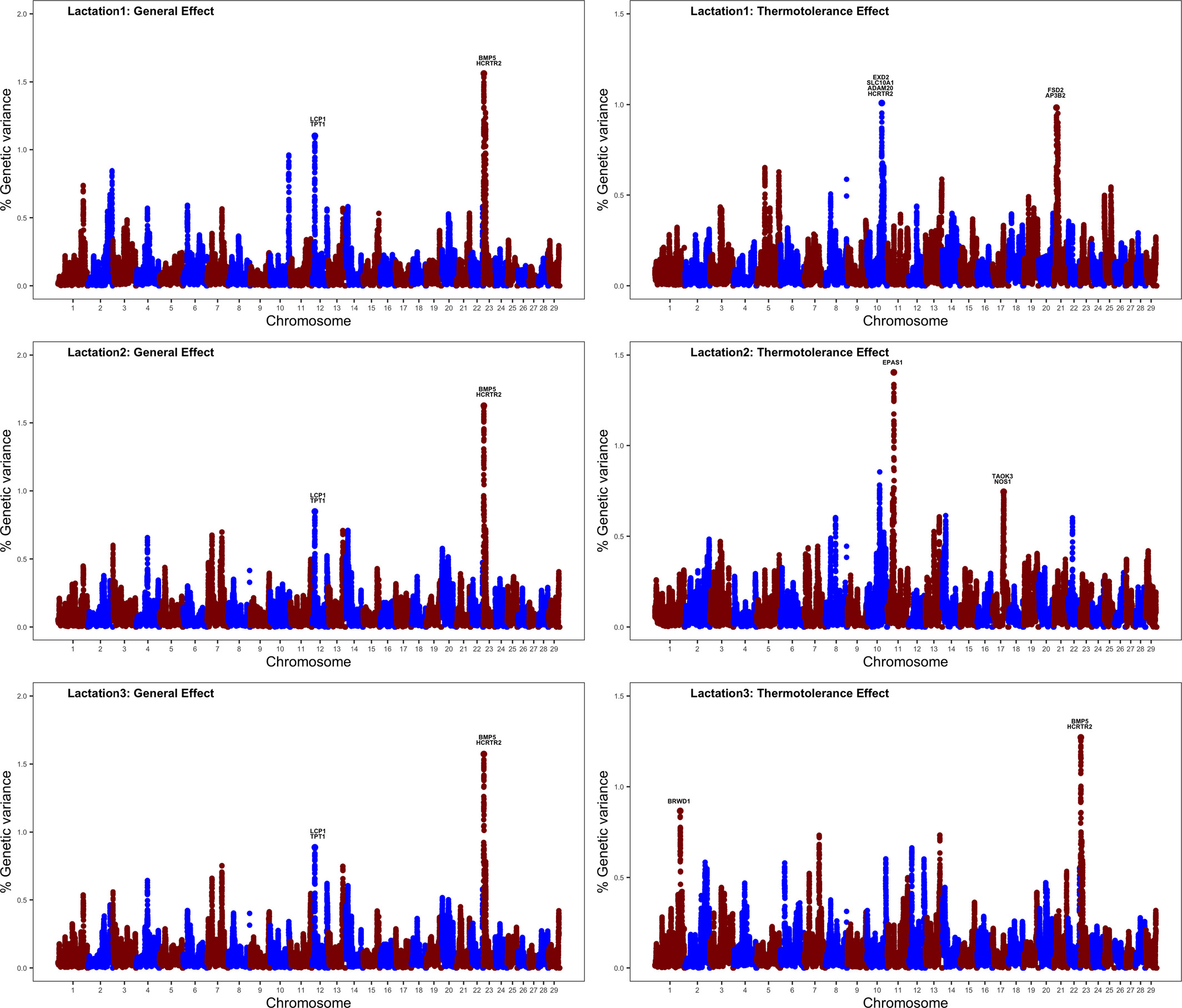 Genetic dissection of reproductive performance of dairy cows under heat stress